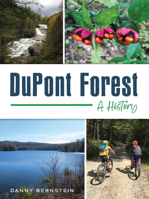 Title details for DuPont Forest by Danny Bernstein - Available